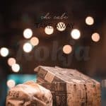 آیتم غذا 3 _کافه چی