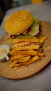 کاکتوس غذا 3