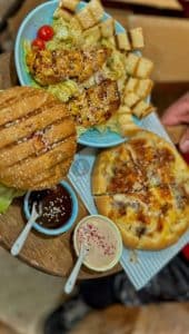 کاکتوس غذا 9